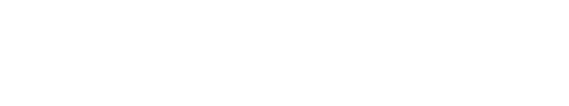 NightTec Logo