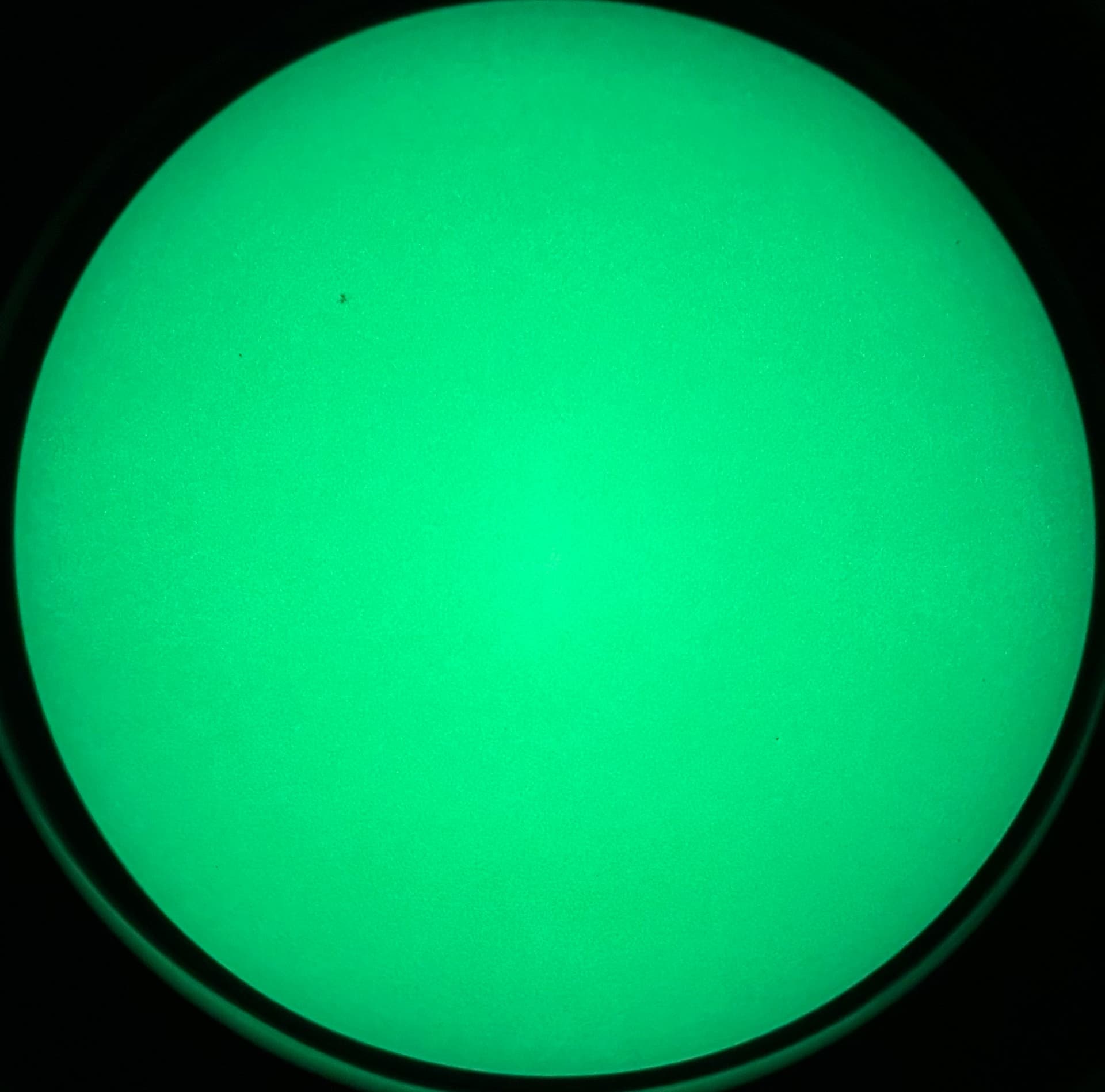 LLI MH1 Binocular Photonis Echo+ Green Phosphor 2200+ FOM